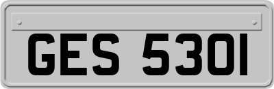 GES5301