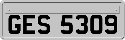 GES5309