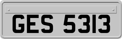 GES5313