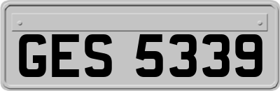 GES5339