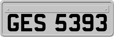 GES5393