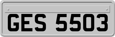 GES5503