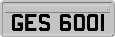 GES6001