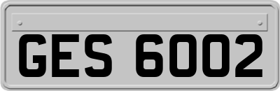 GES6002