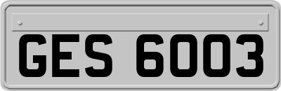 GES6003