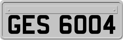 GES6004