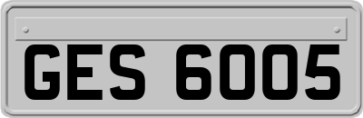 GES6005