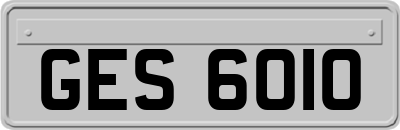 GES6010