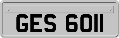 GES6011