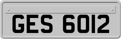 GES6012