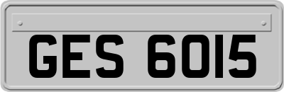 GES6015
