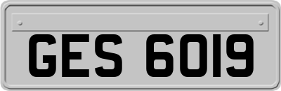 GES6019
