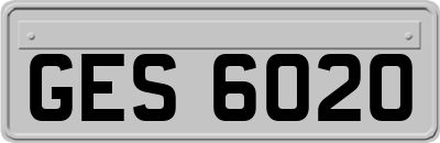 GES6020