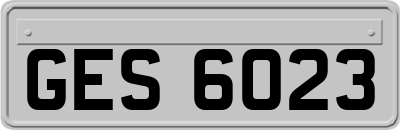 GES6023