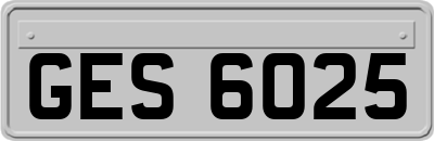 GES6025