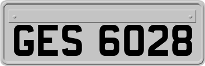 GES6028