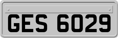 GES6029