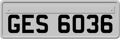 GES6036