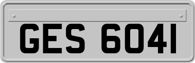 GES6041
