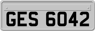 GES6042
