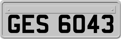 GES6043