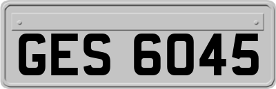 GES6045