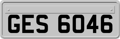 GES6046