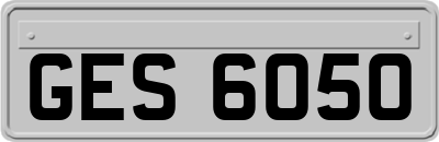 GES6050