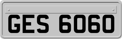 GES6060