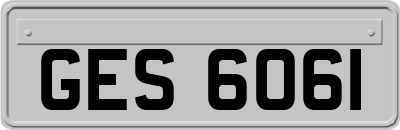 GES6061