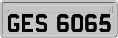 GES6065