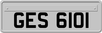 GES6101
