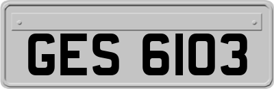 GES6103