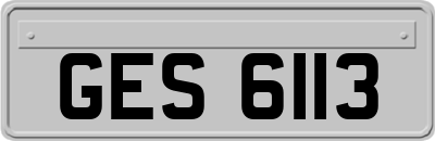 GES6113