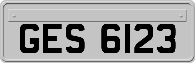 GES6123