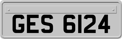 GES6124
