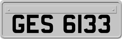 GES6133