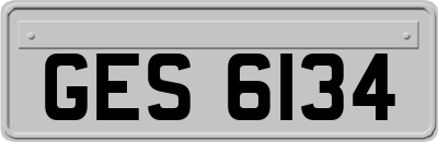GES6134