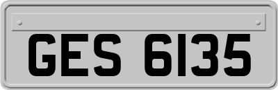 GES6135