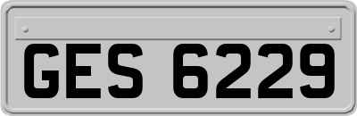 GES6229