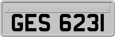 GES6231