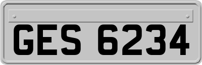 GES6234