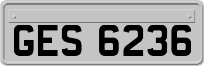 GES6236