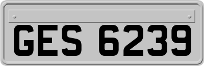 GES6239