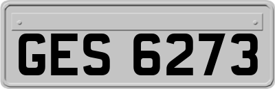 GES6273