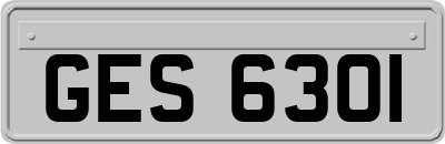 GES6301