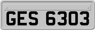 GES6303