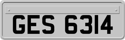 GES6314