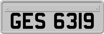GES6319