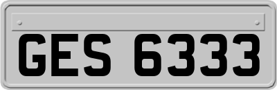 GES6333
